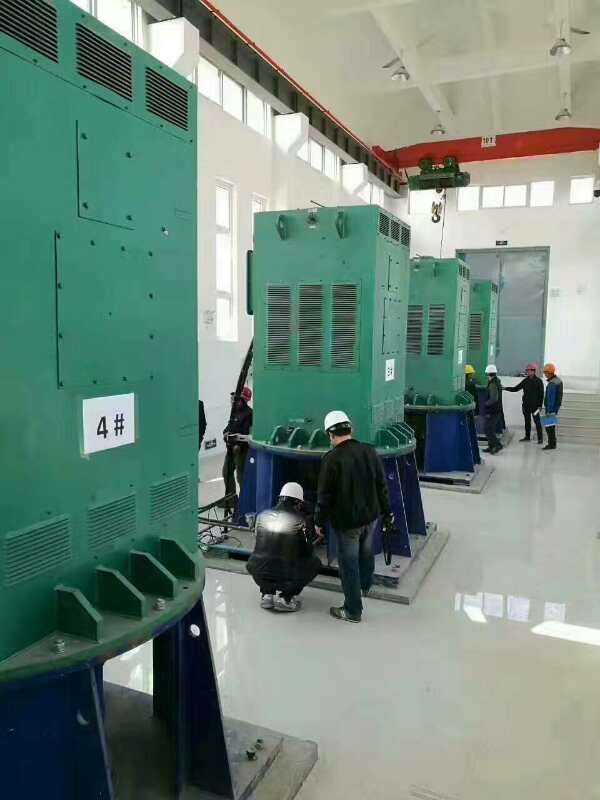 榕城某污水处理厂使用我厂的立式高压电机安装现场