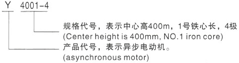 西安泰富西玛Y系列(H355-1000)高压榕城三相异步电机型号说明